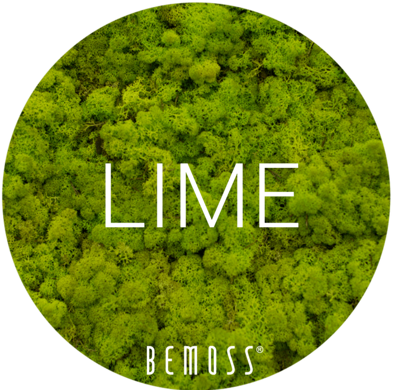 4 Lime