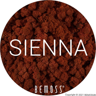 81 Sienna