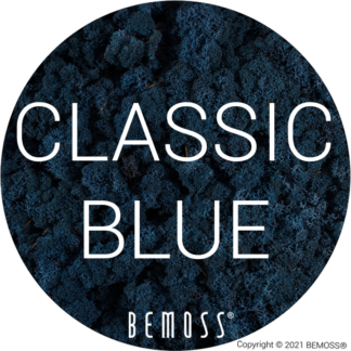 84 Classic Blue