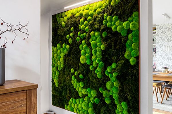 moss-walls-7